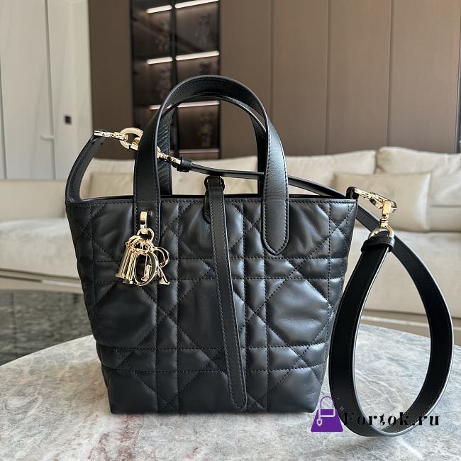 Fortok Dior Toujours Vertical Tote Bag M915700 18.5x18.5x12cm  - 1