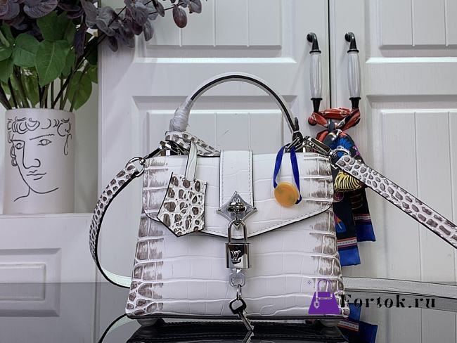 Fortok Louis Vuitton Rose des vents mini handbag Crocodile Leather White pattern 19*15*9 cm - 1