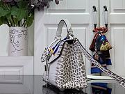 Fortok Louis Vuitton Rose des vents mini handbag Crocodile Leather White pattern 19*15*9 cm - 6