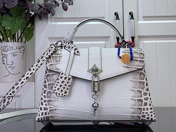 Fortok Louis Vuitton Rose Des Vents White pattern Crocodile Leather 27*18*9 cm