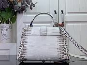 Fortok Louis Vuitton Rose Des Vents White pattern Crocodile Leather 27*18*9 cm - 2