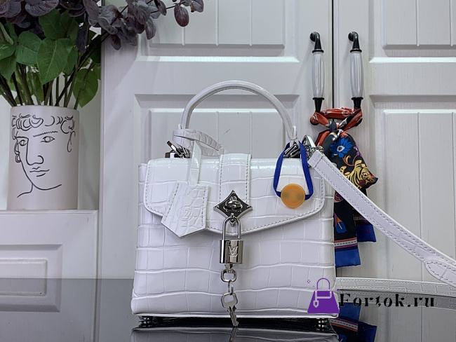 Fortok Louis Vuitton Rose des vents mini handbag Crocodile Leather White 19*15*9 cm - 1