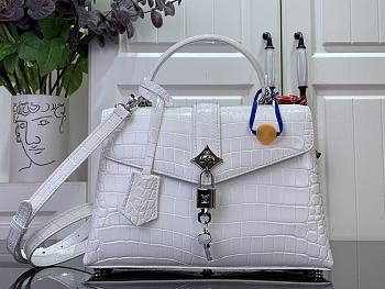 Fortok Louis Vuitton Rose Des Vents White Crocodile Leather 27*18*9 cm