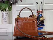 Fortok Louis Vuitton Rose des vents mini handbag Crocodile Leather Brown 19*15*9 cm - 2