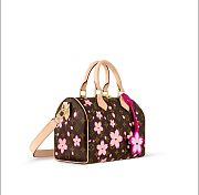Fortok LV x TM 25SS Speedy Bandoulière 25 M14174 25x19x15 cm - 6