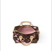 Fortok LV x TM 25SS Speedy Bandoulière 25 M14174 25x19x15 cm - 4