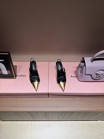 Fortok Celine High-heels golden pointed shoes black 