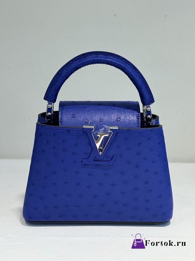 Fortok Louis Vuitton Capucines Ostrich Leather Blue 21x14x9cm - 1