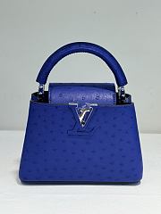 Fortok Louis Vuitton Capucines Ostrich Leather Blue 21x14x9cm - 1