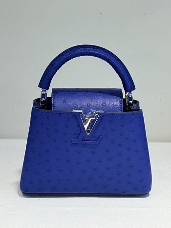 Fortok Louis Vuitton Capucines Ostrich Leather Blue 21x14x9cm