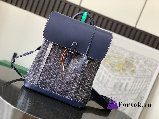Fortok Goyard Pre-owned 2020s Alpin mm Backpack - Navy 39 x 15.5 x 32 cm  - 1