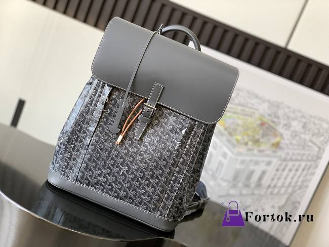 Fortok Goyard Pre-owned 2020s Alpin mm Backpack - Grey 39 x 15.5 x 32 cm  - 1