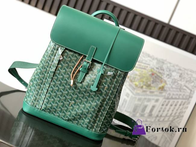 Fortok Goyard Pre-owned 2020s Alpin mm Backpack - Green 39 x 15.5 x 32 cm  - 1