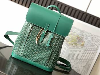 Fortok Goyard Pre-owned 2020s Alpin mm Backpack - Green 39 x 15.5 x 32 cm 
