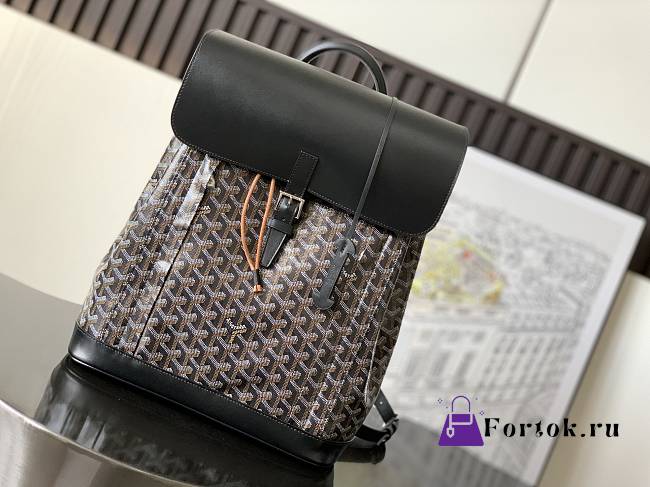 Fortok Goyard Pre-owned 2020s Alpin mm Backpack - Black 39 x 15.5 x 32 cm  - 1
