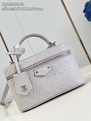 Fortok Louis Vuitton Vanity Chain Pouch Grey 19 x 11 x 6 cm - 2