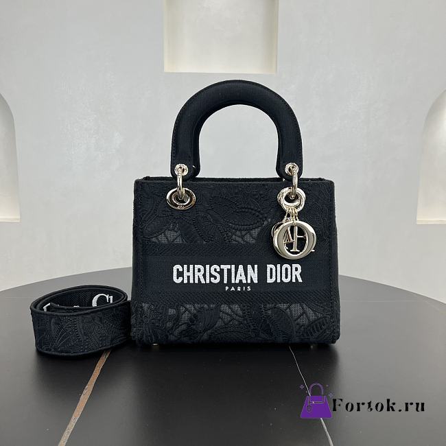 Fortok Christian Dior Pre-owned 2010s Medium Lady D-Lite Handbag - Black 24 x 21 x 12 cm  - 1
