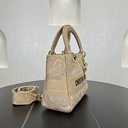 Fortok Christian Dior Pre-owned 2010s Medium Lady D-Lite Handbag - Tan 24 x 21 x 12 cm  - 6