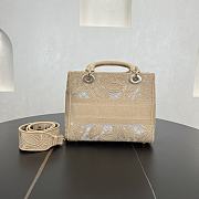 Fortok Christian Dior Pre-owned 2010s Medium Lady D-Lite Handbag - Tan 24 x 21 x 12 cm  - 5