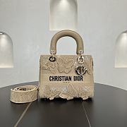Fortok Christian Dior Pre-owned 2010s Medium Lady D-Lite Butterfly Handbag - Tan 24 x 21 x 12 cm  - 1