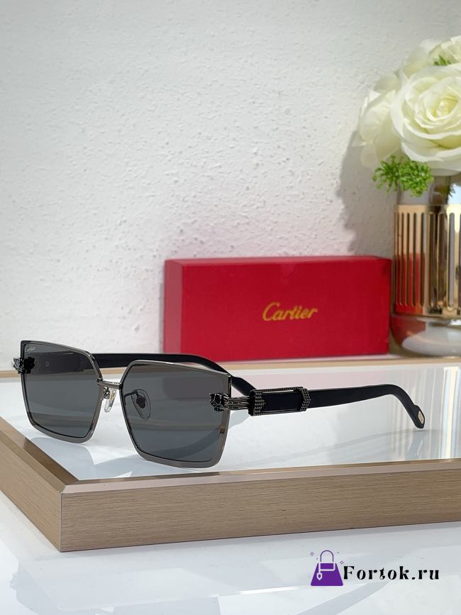 Fortok Cartier Glasses Multiplecolors - 1