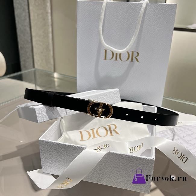 Fortok Dior Belt - 1
