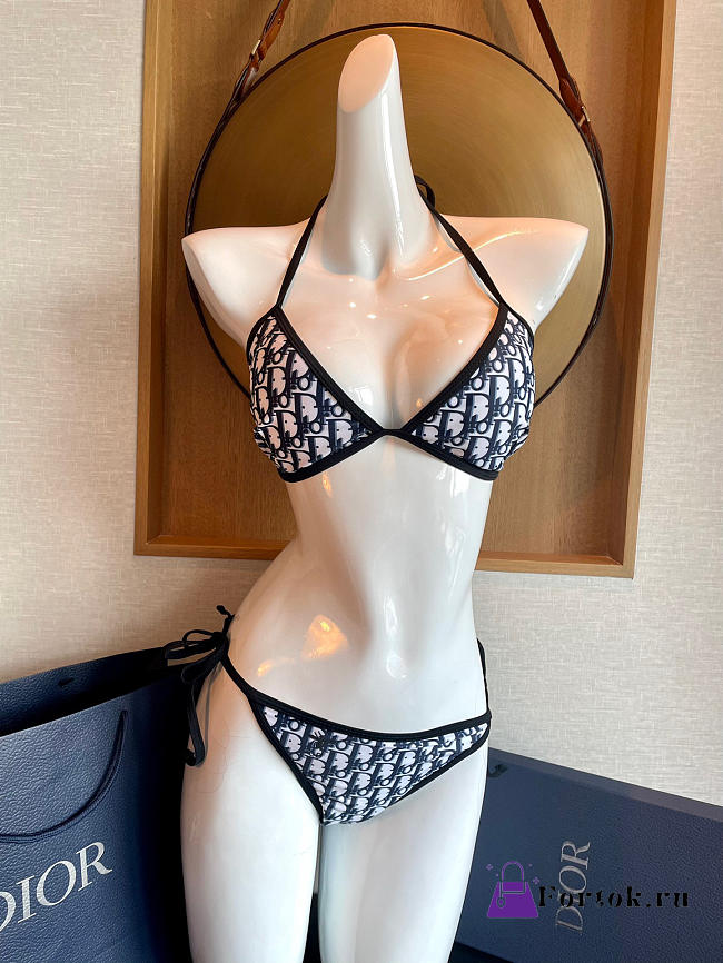 Dior Bikini Set - 1