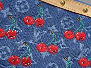 Fortok Louis Vuitton Pochette Accessoires 22*13*4Cm - 6