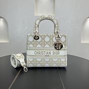 Fortok Dior Lady D-lite White 24*20*11cm - 1