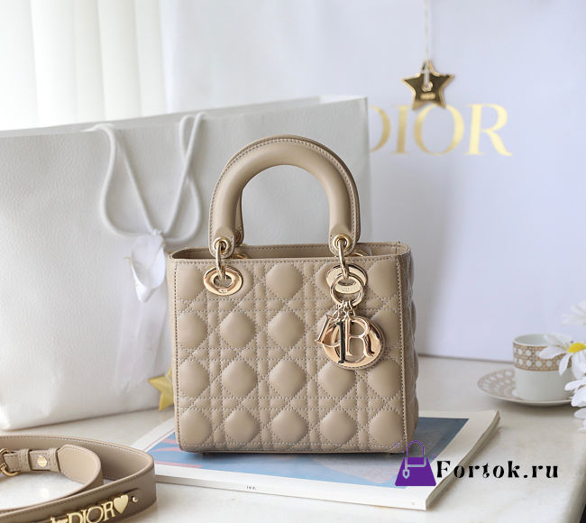 Fortok Dior ABC Bag 20 x 16.5 x 8 cm - 1