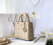Fortok Dior ABC Bag 20 x 16.5 x 8 cm - 6