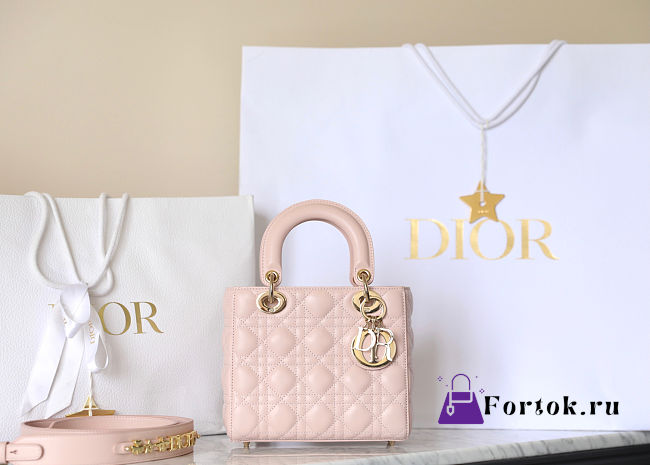Fortok Dior ABC Bag Pink 20 x 16.5 x 8 cm - 1