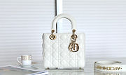 Fortok Dior ABC Bag White 20 x 16.5 x 8 cm - 1