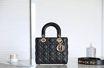 Fortok Dior ABC Bag Black 20 x 16.5 x 8 cm