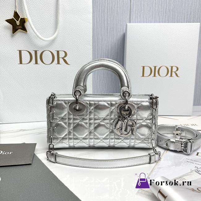 Fortok Dior D-Joy Shinning Silver 22 x 12 x 6 cm - 1