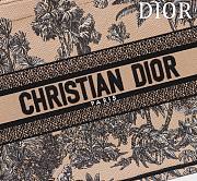 Fortok Dioriviera Medium Dior Book Tote Beige Toile de Jouy Palms Embroidered Raffia 36*28*16cm - 6