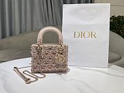 Fortok Dior Lady Dior Limited Edition Bag 17×15×7cm - 1