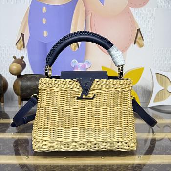 Fortok Louis Vuitton Large Capucines Raffia Blue 27*18*9cm