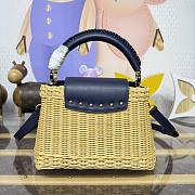 Fortok Louis Vuitton Large Capucines Raffia Blue 27*18*9cm - 5