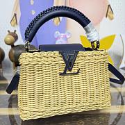 Fortok Louis Vuitton Small Capucines Raffia Blue 21*8*14cm - 2