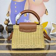 Fortok Louis Vuitton Large Capucines Raffia Brown 27*18*9cm - 2