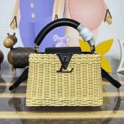 Fortok Louis Vuitton Small Capucines Raffia Black 21*8*14cm - 1