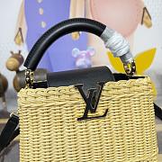 Fortok Louis Vuitton Small Capucines Raffia Black 21*8*14cm - 2