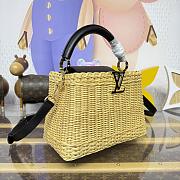 Fortok Louis Vuitton Large Capucines Raffia Black 27*18*9cm - 6