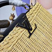 Fortok Louis Vuitton Large Capucines Raffia Black 27*18*9cm - 2