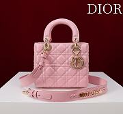 Fortok Dior Lady Dior ABC Bag Pink 20*16*8cm  - 1