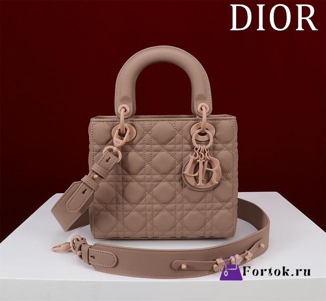 Fortok Dior Lady Dior ABC Bag Brown 20*16*8cm  - 1