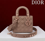 Fortok Dior Lady Dior ABC Bag Brown 20*16*8cm  - 1