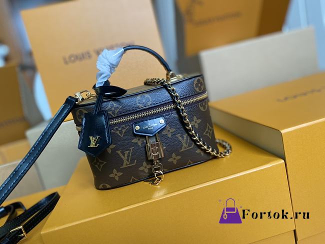 Fortok Louis Vuitton Vanity Chain Pouch Brown 19 x 11.5 x 6.5cm - 1