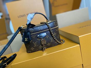 Fortok Louis Vuitton Vanity Chain Pouch Brown 19 x 11.5 x 6.5cm